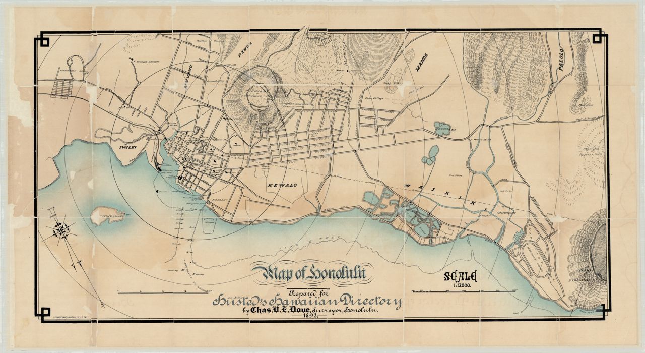 1892 Map of Honolulu (Dove)
