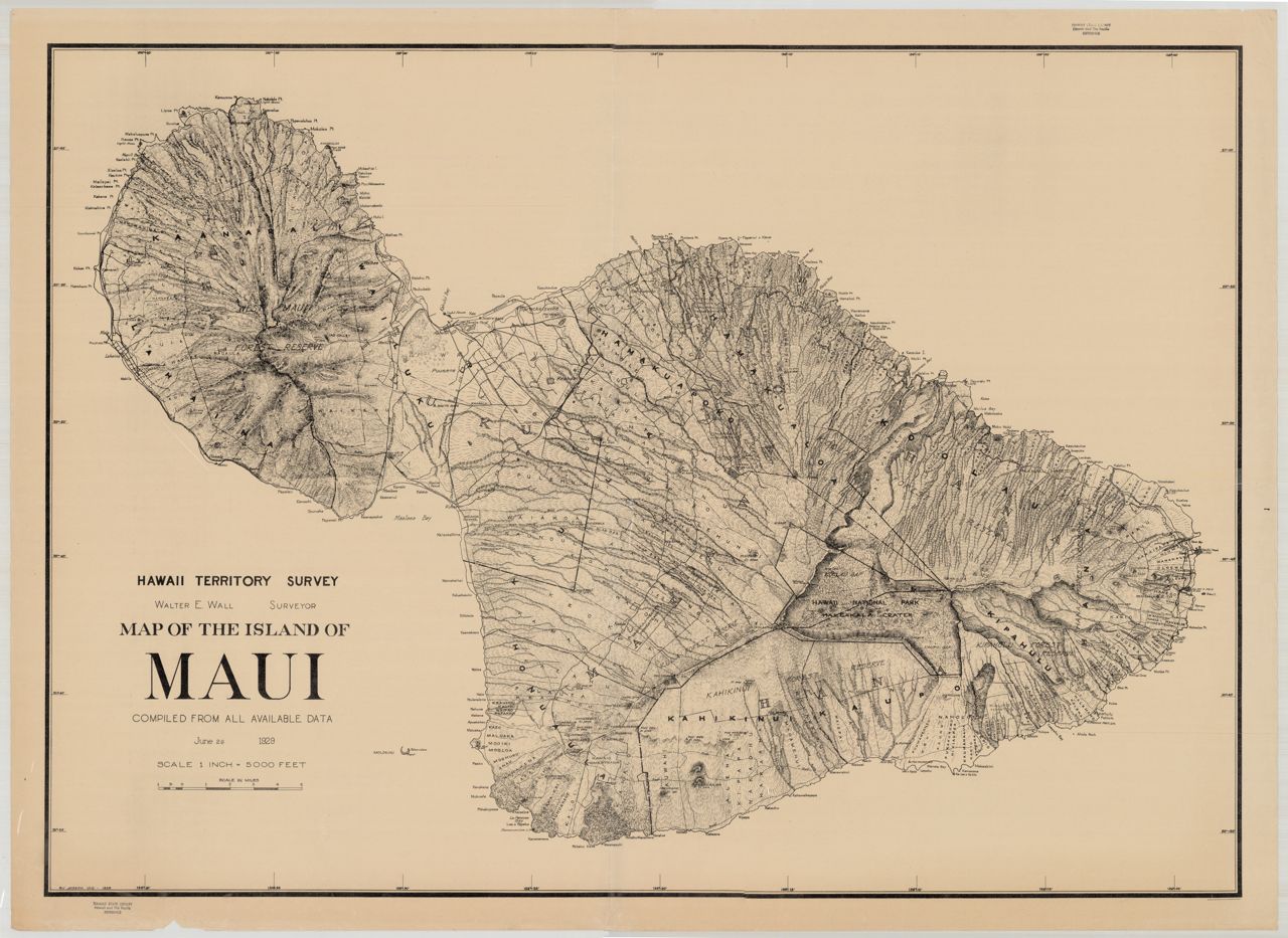 1929 Maui (Iao)